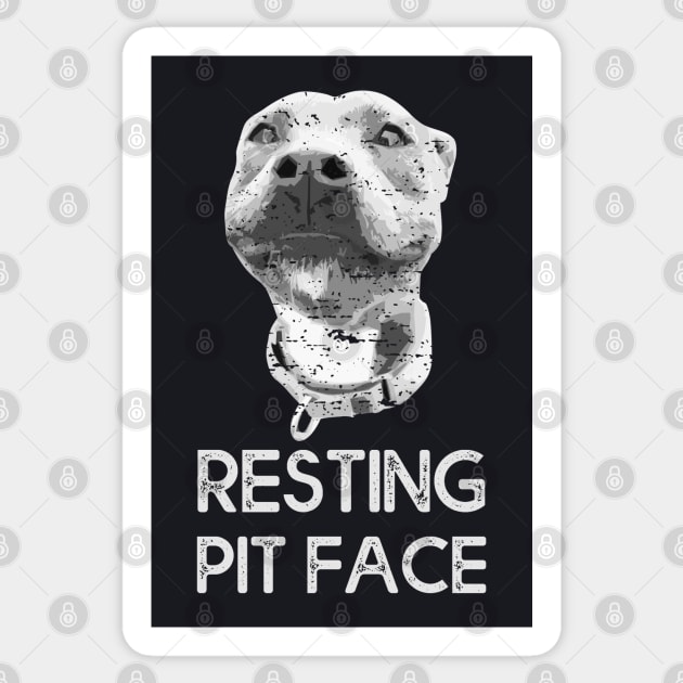 Pitbull Dog Resting Pit Face Vintage Style Sticker by MasliankaStepan